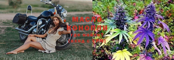 сатива Новодвинск
