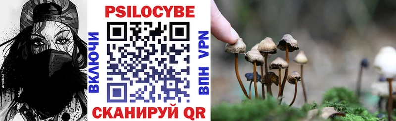 Галлюциногенные грибы GOLDEN TEACHER  закладки  Североуральск 