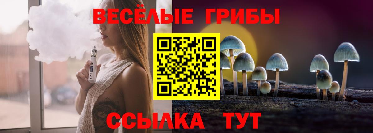 Галлюциногенные грибы GOLDEN TEACHER Североуральск